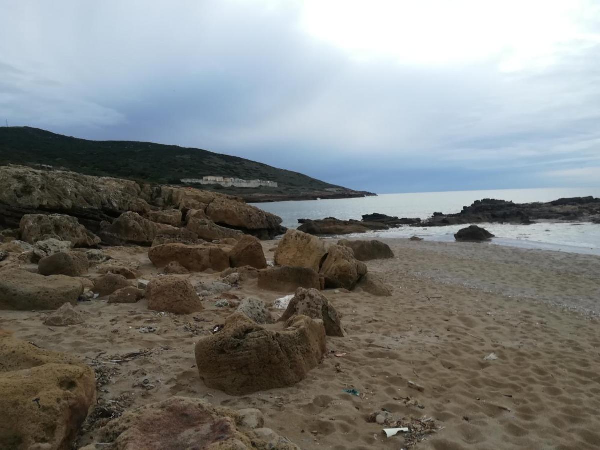 Palmadula B&B Il Turchese מראה חיצוני תמונה