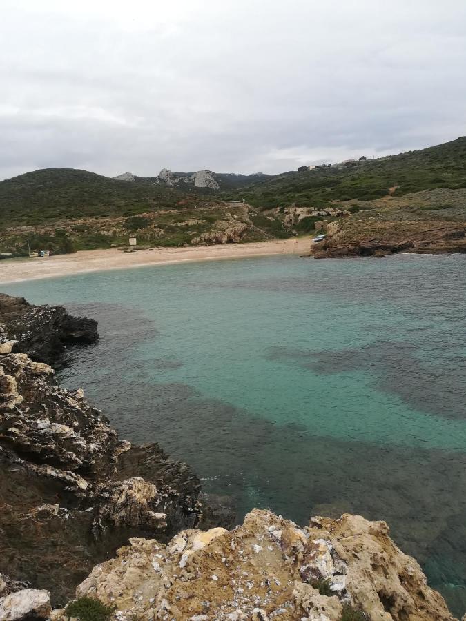 Palmadula B&B Il Turchese מראה חיצוני תמונה