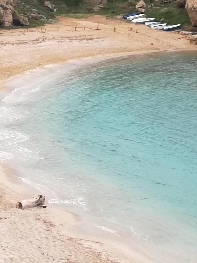 Palmadula B&B Il Turchese מראה חיצוני תמונה